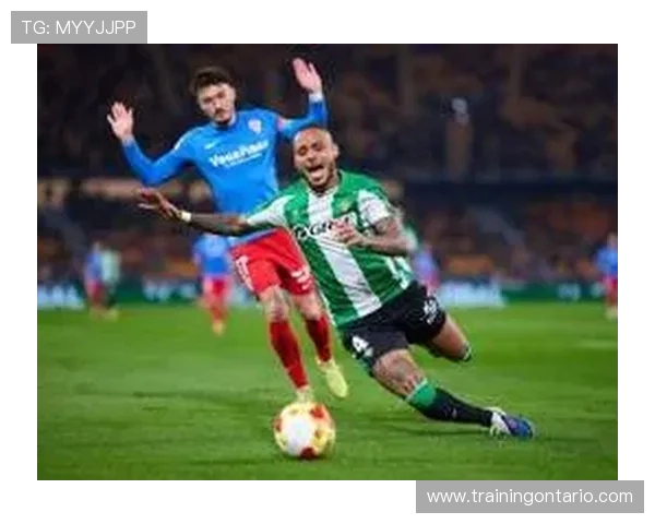 埃尔切新赛季阵容大调整 新援加盟助力球队重振旗鼓