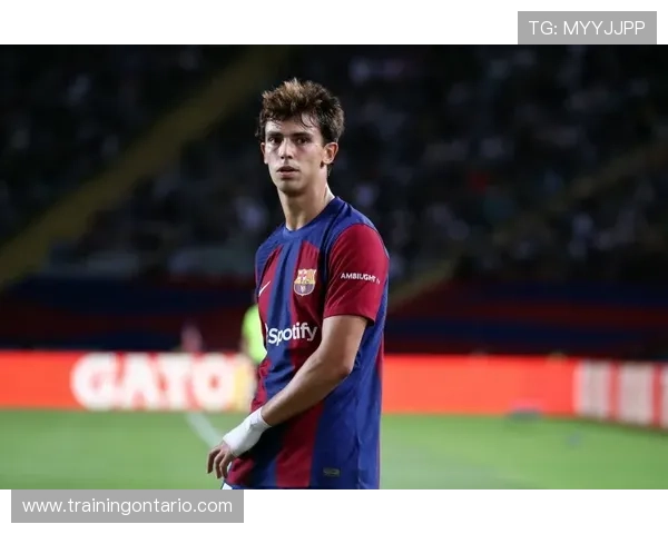 努涅斯发展路径与未来天花板解析