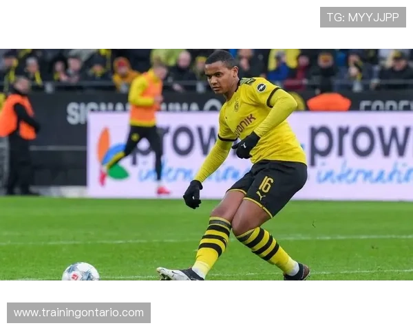 贝尔纳多本赛季传球成功率解析：英超前列的稳健表现