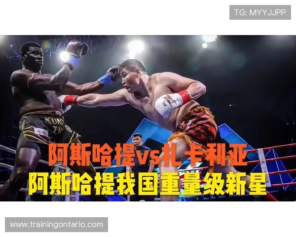 富里睡醒发现自家马场又多了两匹纯血马，账单比对手还难KO